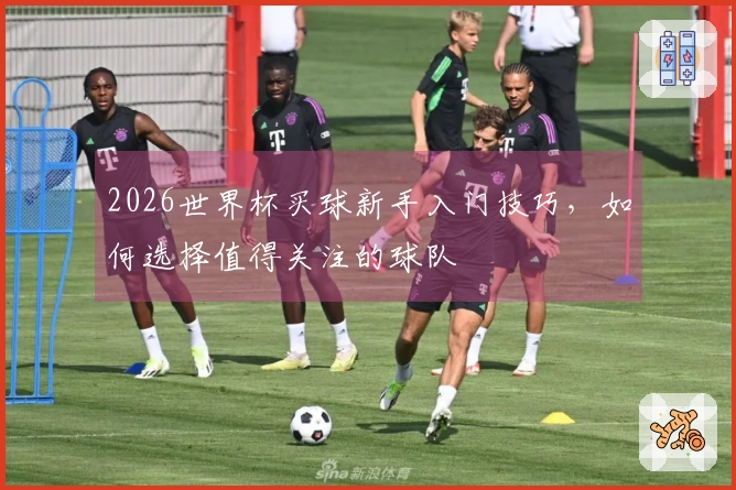 2026世界杯买球新手入门技巧，如何选择值得关注的球队