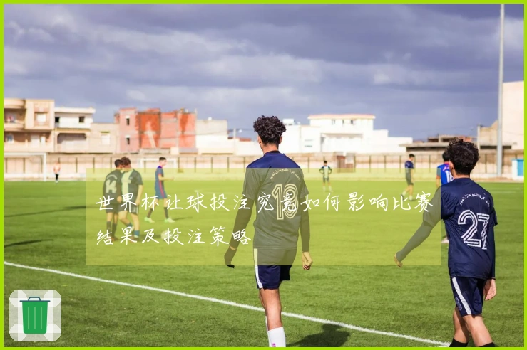 世界杯让球投注究竟如何影响比赛结果及投注策略