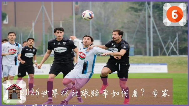 2026世界杯让球赔率如何看？专家分享投注秘诀