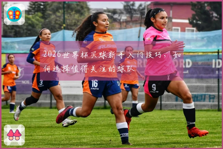 2026世界杯买球新手入门技巧，如何选择值得关注的球队