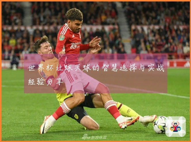 世界杯让球买球的智慧选择与实战经验分享