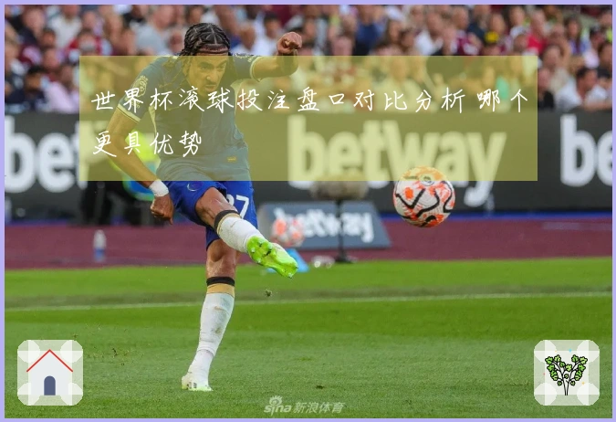 世界杯滚球投注盘口对比分析 哪个更具优势