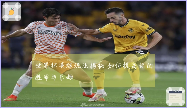 世界杯滚球玩法揭秘 如何提高你的胜率与乐趣