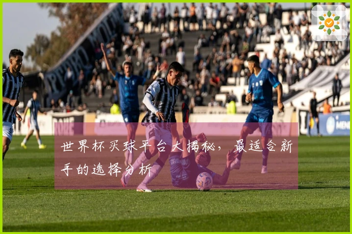 世界杯买球平台大揭秘，最适合新手的选择分析