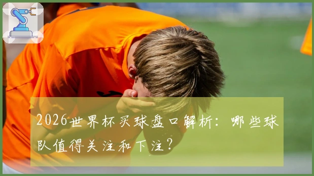 2026世界杯买球盘口解析：哪些球队值得关注和下注？
